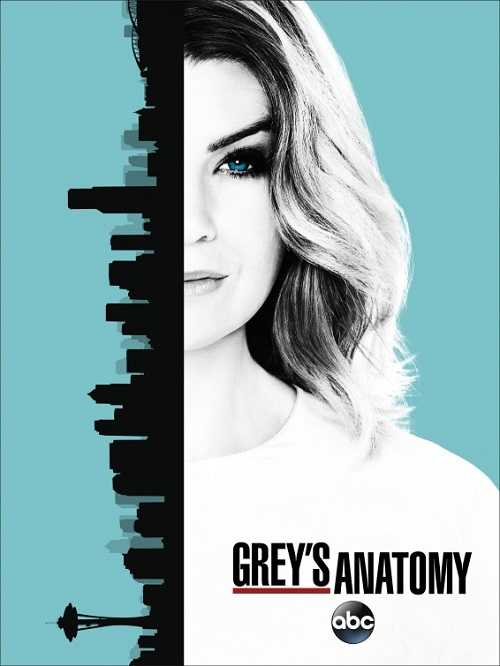 مسلسل Greys Anatomy الموسم 13 الحلقة 17