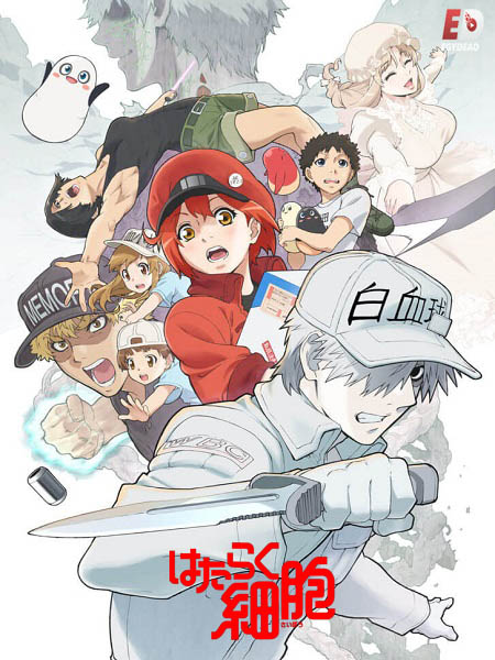 انمي Cells at Work الموسم الثاني الحلقة 7 مترجمة