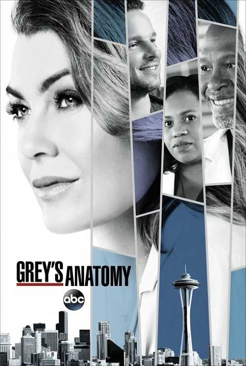 مسلسل Greys Anatomy الموسم 14 الحلقة 21