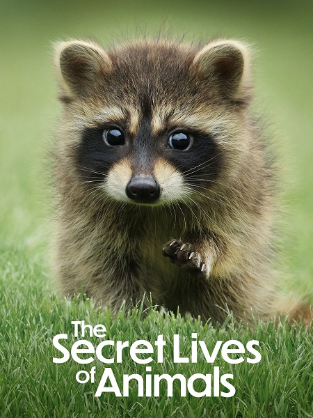 مسلسل The Secret Lives of Animals الموسم الاول الحلقة 7 مترجمة